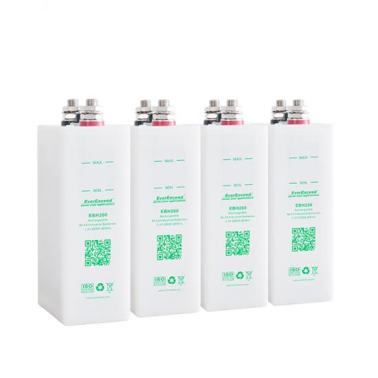 1.2V  rechargeable maintenance free nicd battery;