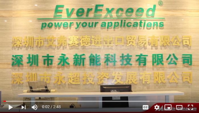 EverExceed 公司簡介